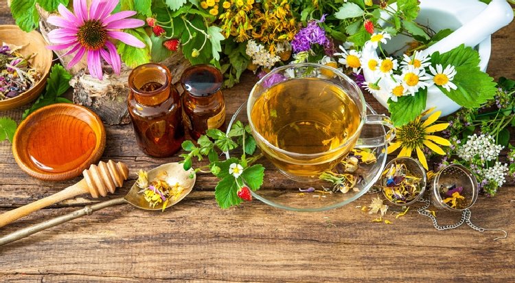 o poder das plantas medicinais: usos e benefícios